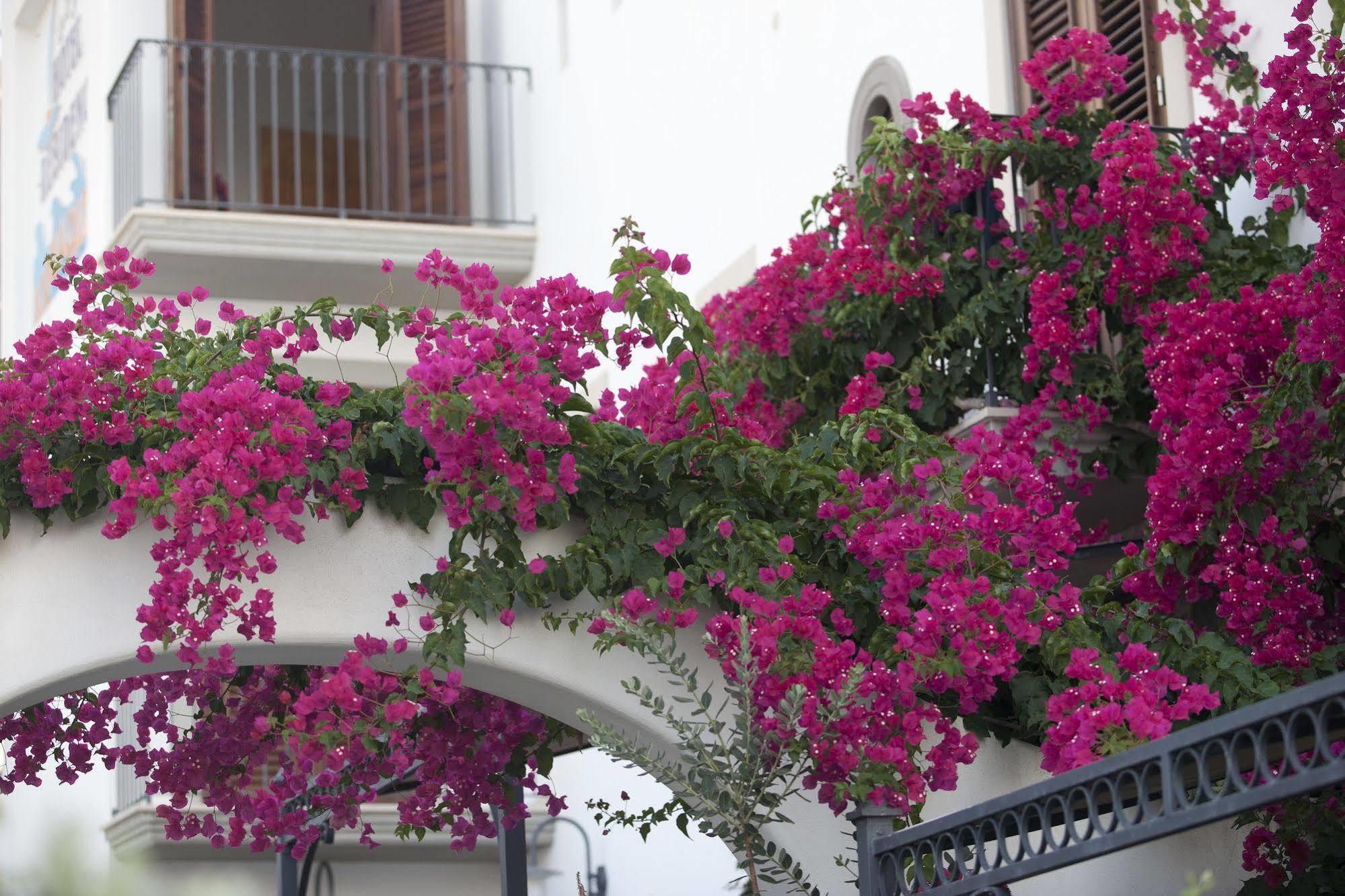 Hotel Residence Acquacalda Lipari Kültér fotó